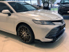Toyota Camry XV70 3.5 Обвес HEMMES без насадок