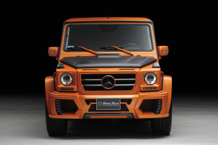 Обвес Black Bison на MB G Class W463 от Wald
