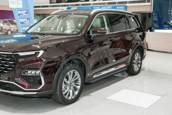 Ford Equator 2021 штатные пороги (подножки) боковые