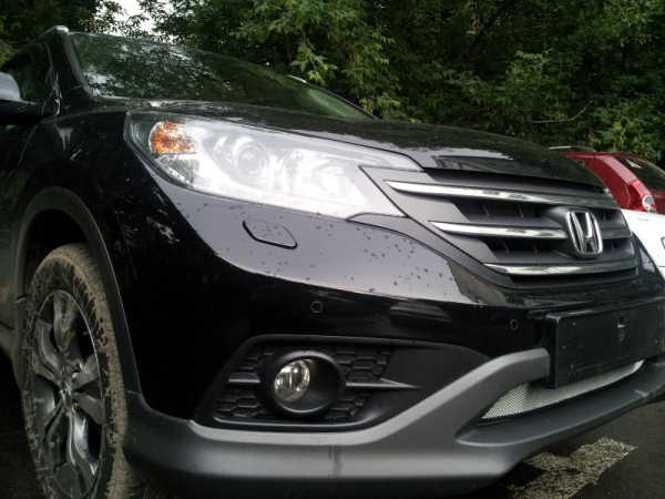 Honda CR-V (12–14) Защита радиатора, хром (2.0)