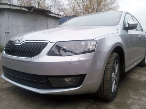 Skoda Octavia (13–) Защита радиатора, чёрная