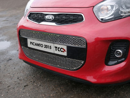 Kia Picanto (15–) Решетка радиатора нижняя (лист)